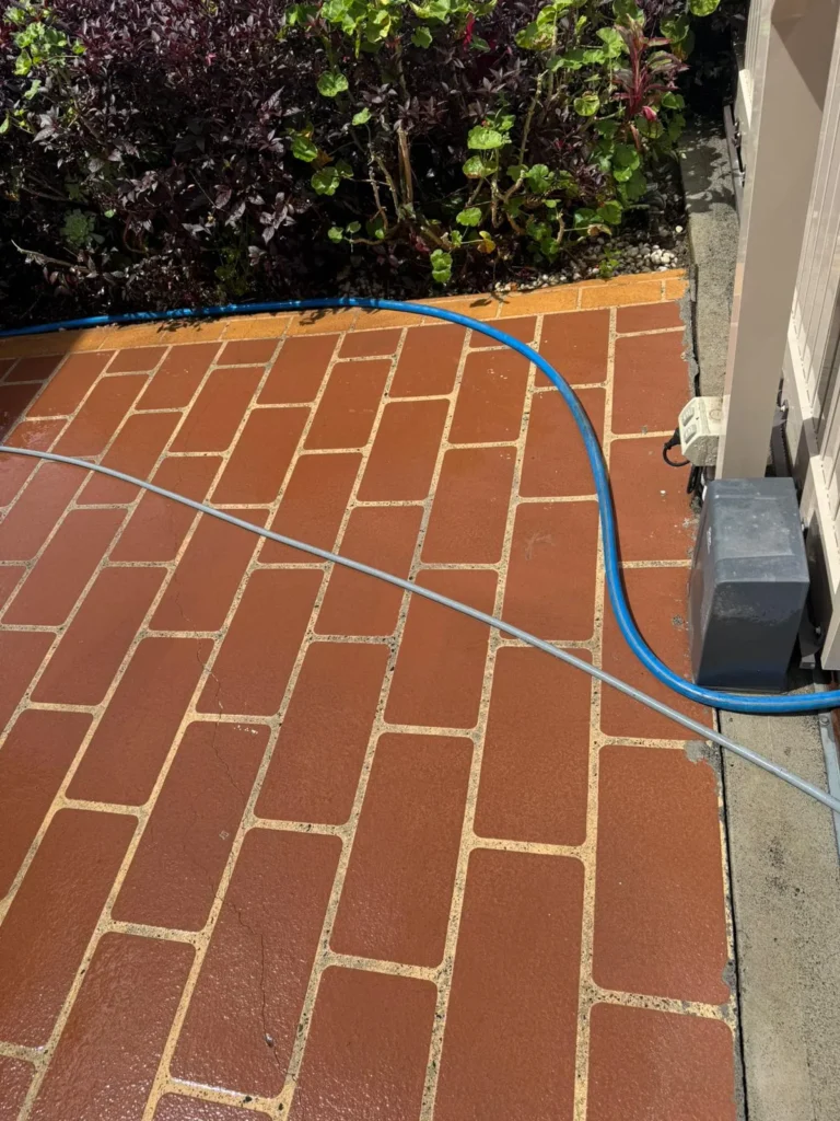 Eco-friendly pressure washing techniques using biodegradable agents in a garden setting